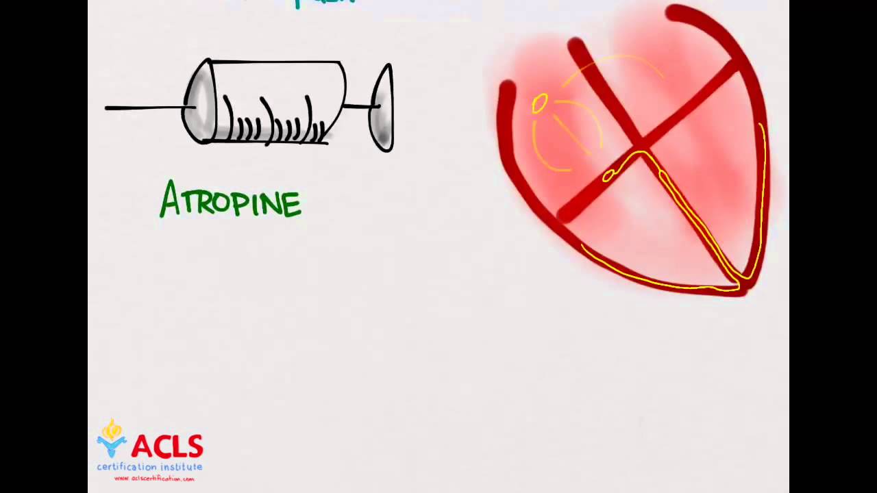 PALS Medications Part One by ACLS Certification Institute