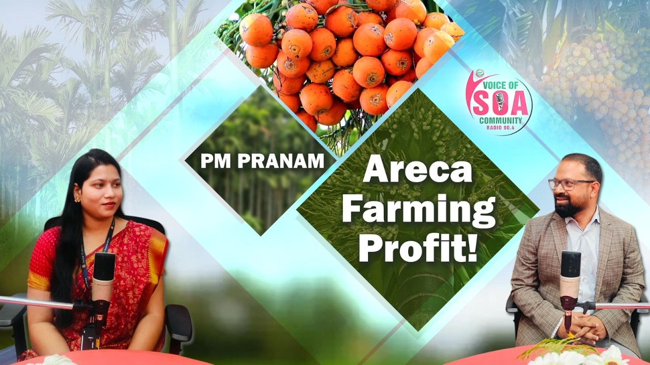 Areca Nut Farming in Odisha | Profit & Govt Support | PM-PRANAM | Soa Radio