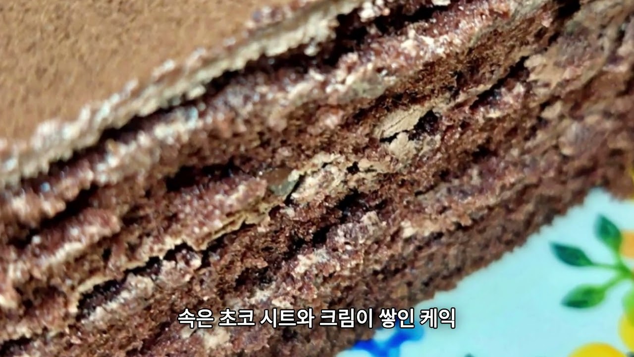 파리바게트에서 스초생 느낌 나는 초코 케이크 발견 | 클래식 가또 쇼콜라