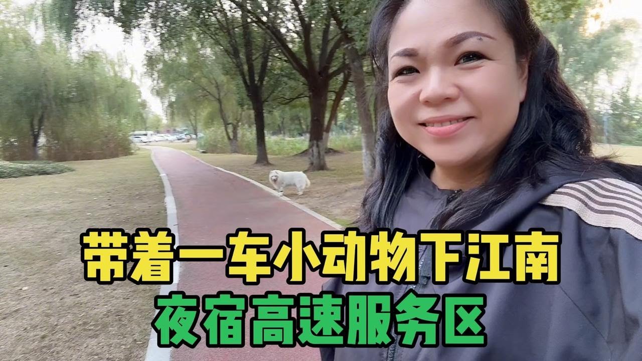 开着房车下江南，夜宿安徽吕望服务区，投喂完流浪猫还洗了个澡