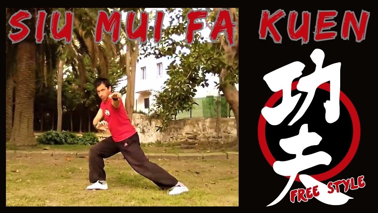 Siu Mui Fa Kuen (Forma de la pequeña flor de ciruelo) Choy Lee Fut
