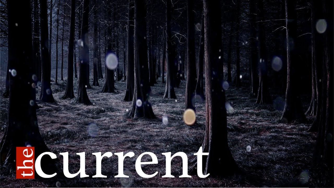 The Current, Episode 24: Amy Bruni