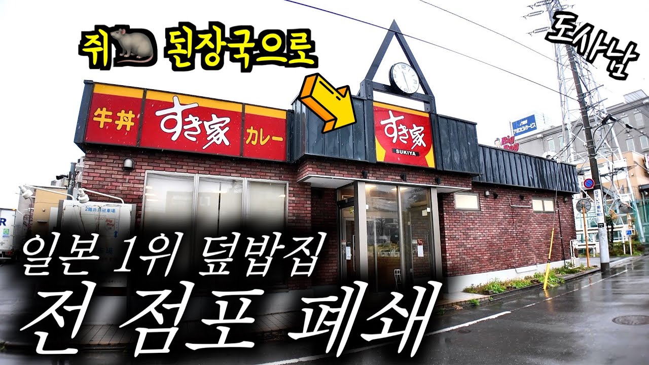 쥐🐀된장국으로 난리난 일본 규동 체인점 전 점포 폐쇄‼️직접 가봄 & 도쿄 벚꽃🌸