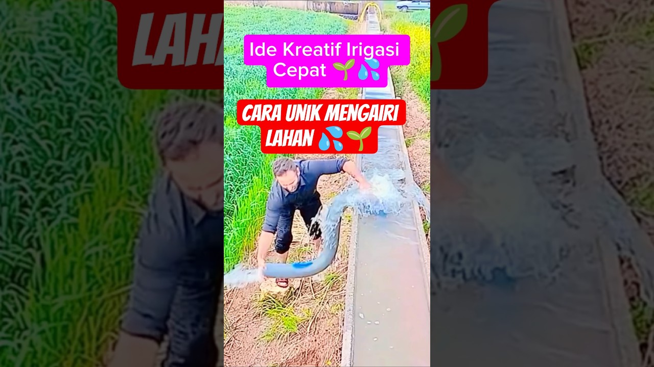 Cara Unik Mengairi Lahan Dengan Selang Sederhana | Irigasi Kreatif Cepat & Efektif 💧🌱