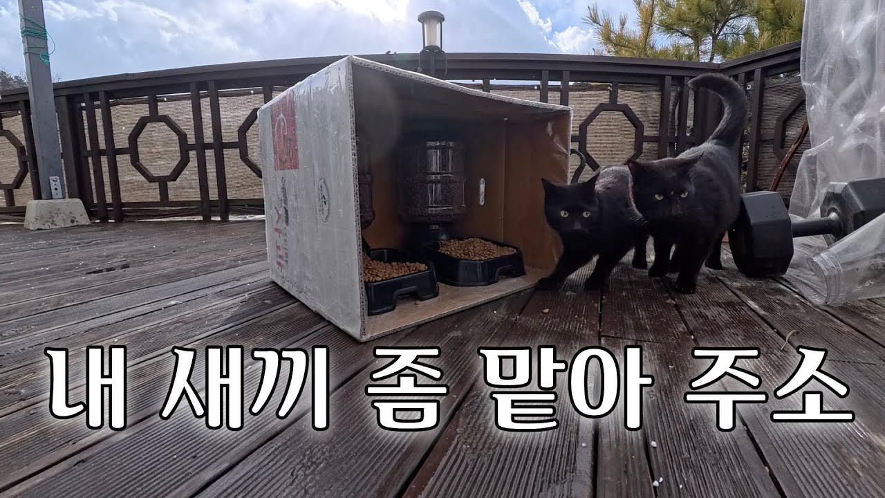 엄마는 밥만 먹고 갔습니다.