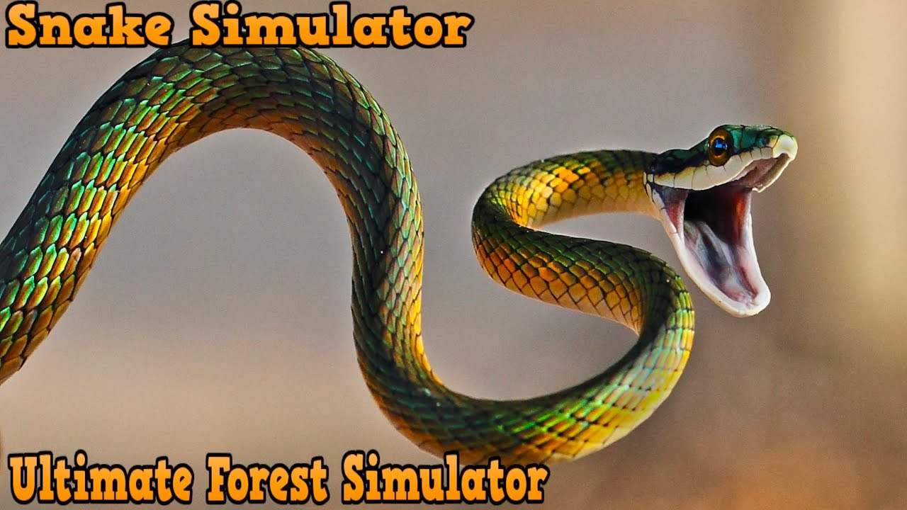 🐍Snake Simulator--Ultimate Forest Simulator-By Gluten Free Games - iOS/Android
