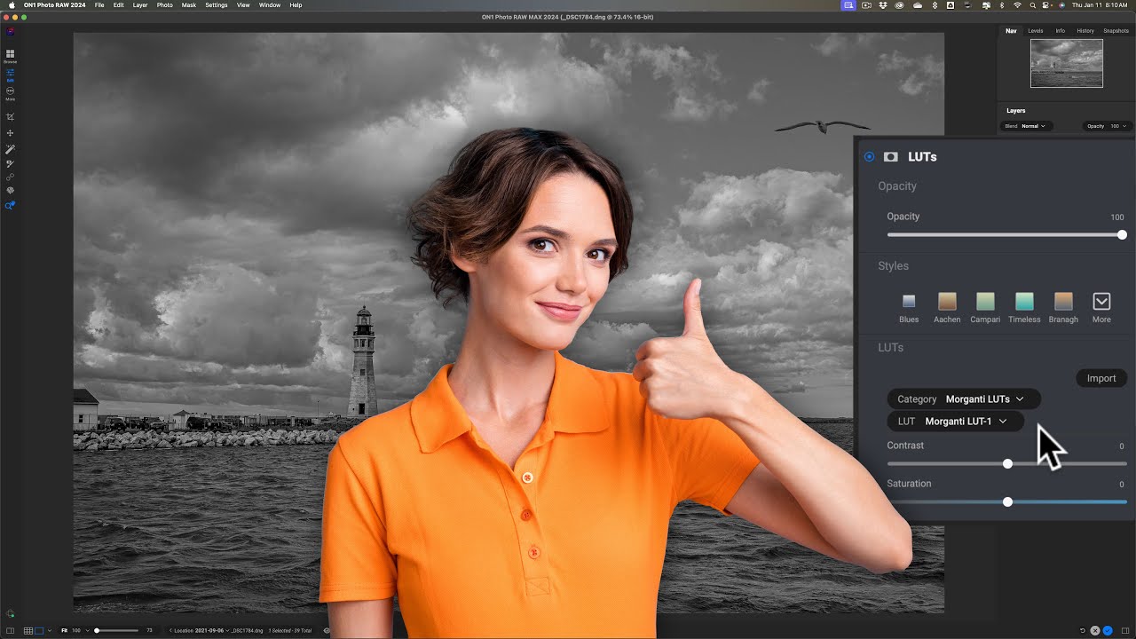 COLOR GRADING With LUTs in On1 Photo Raw 2024