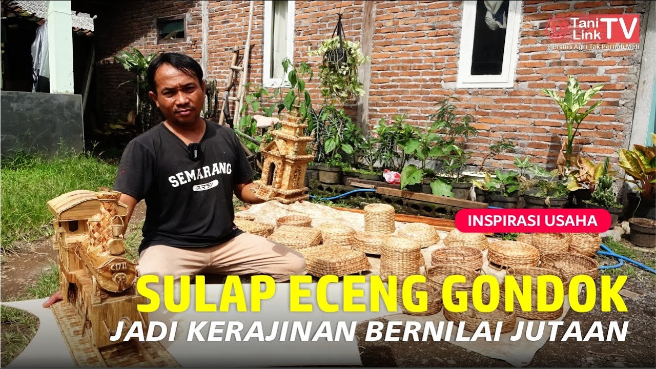 Merajut Asa Dari Tanaman Gulma. 20 Tahun Menjadi Pengrajin Eceng Gondok
