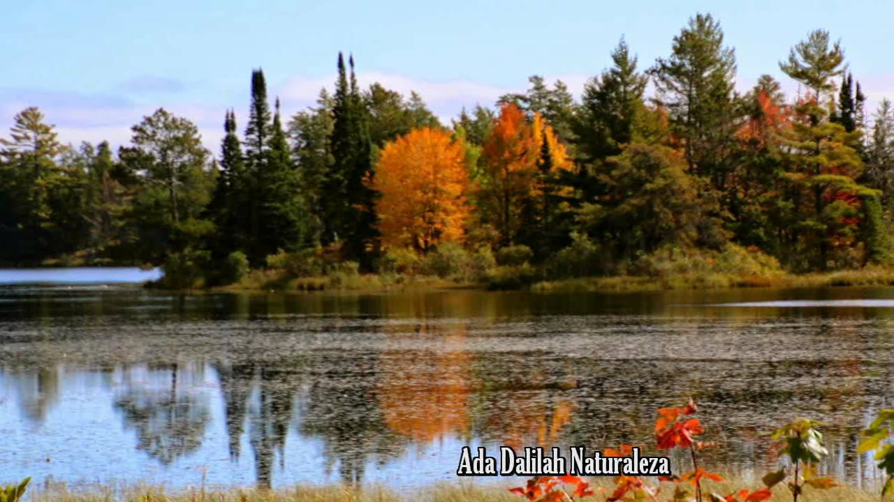 LEO ROJAS___ COLORFUL AUTUMN (Pan Flute)