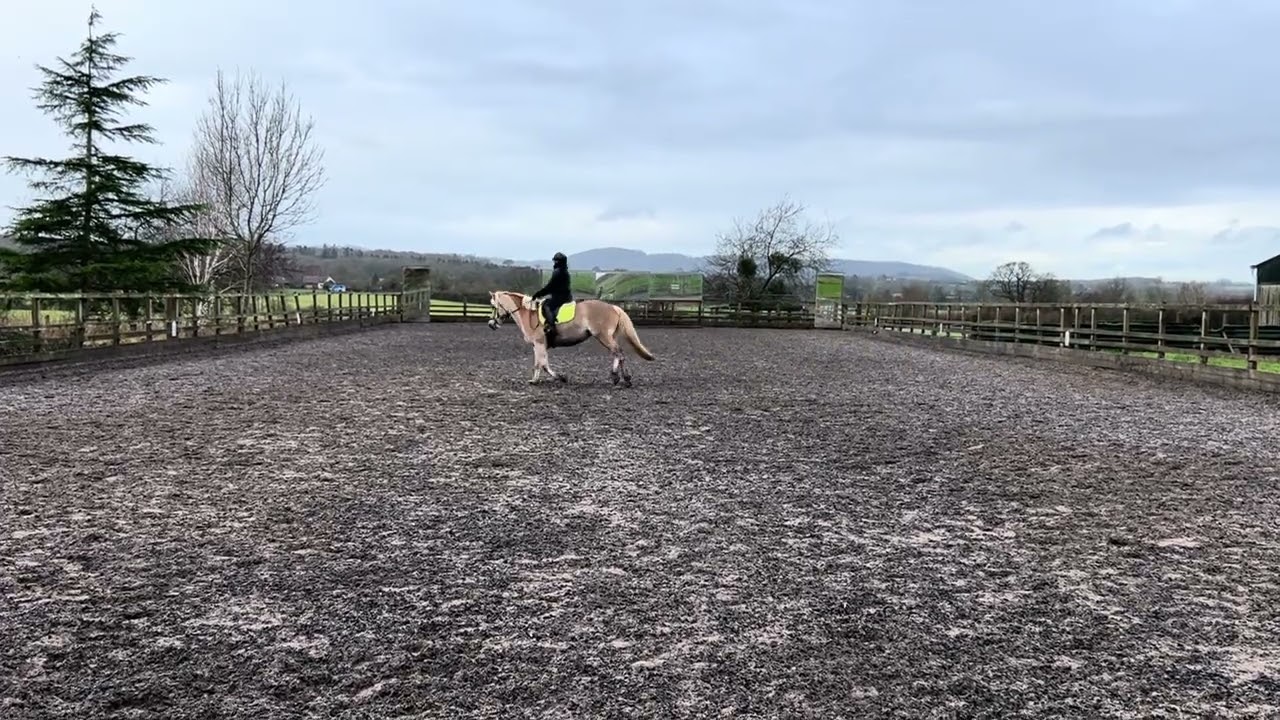 Annabel Kay prelim 5 Maisie