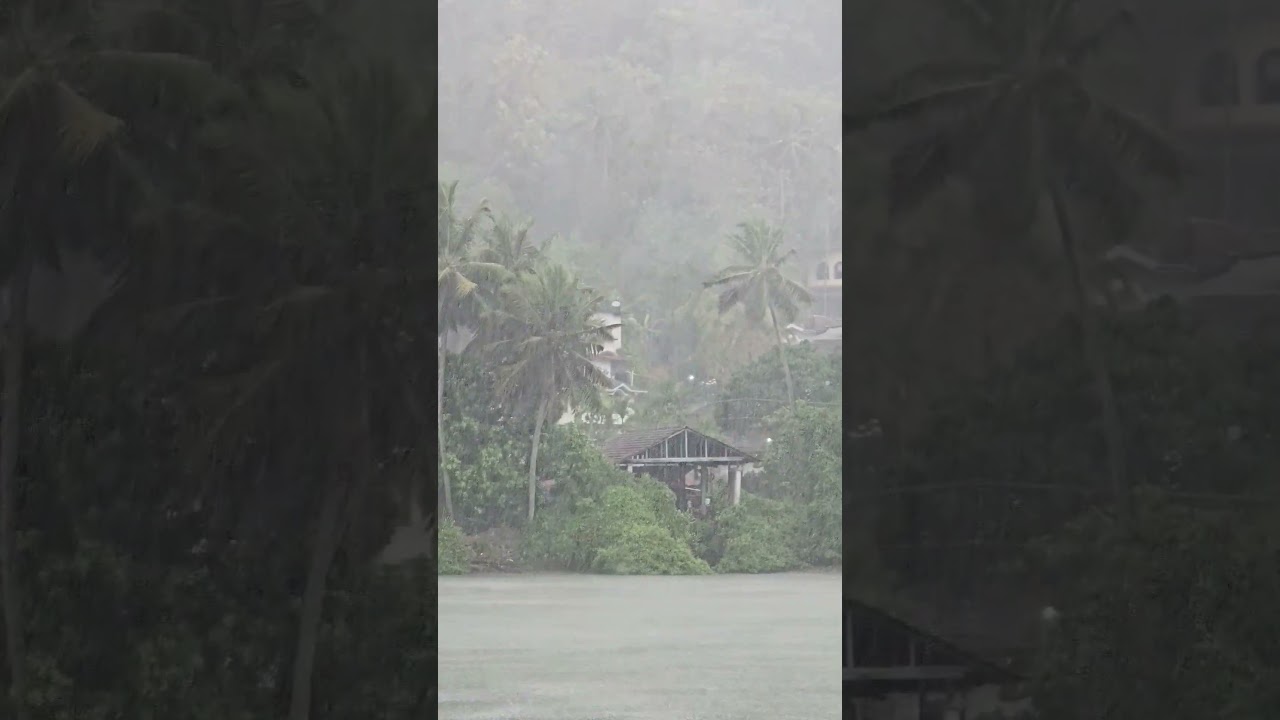 Summer Rain 🌧️🌧️ in kerala #keralarain