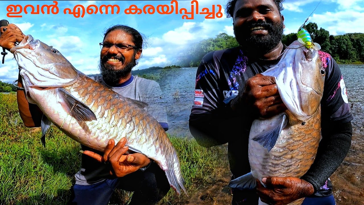 monster mahaseer caught from kerala river | masheer