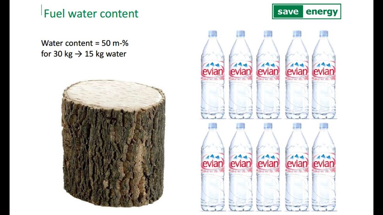 Recovering Energy from Biomass Flue Gas with SaveEnergy