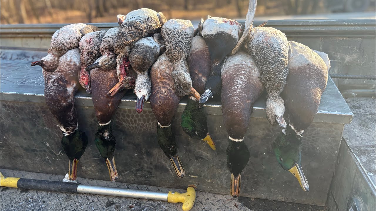 Youth hunt 2026! West TN