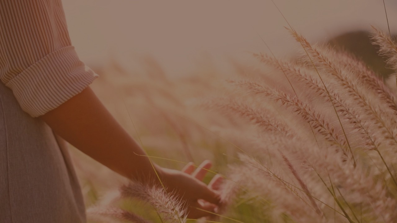 Mindful Breathing | Calm & Stress Relief