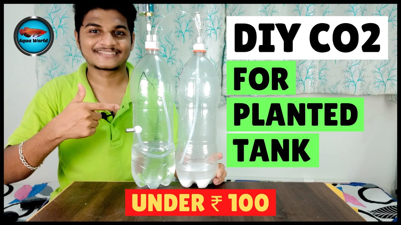 DIY Co2 for Planted Tank under ₹100 | DIY Co2 using Citric acid and Baking soda