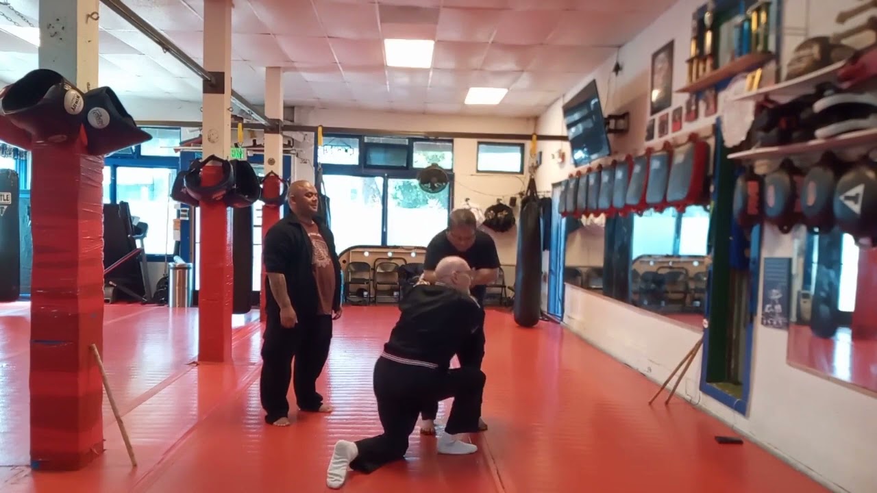 Modern Arnis Class: with Dr  Remy Presas Jr