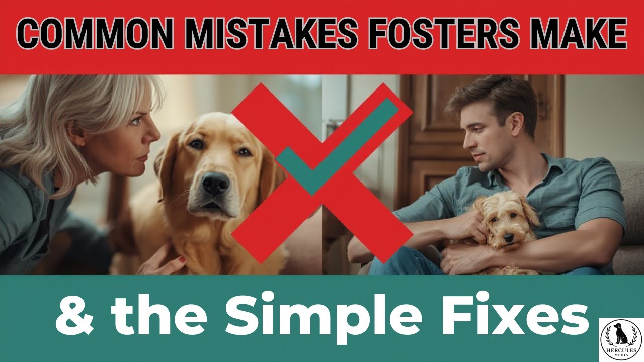 The Common Mistakes Fosters Don’t Realize They’re Making — and the Simple Fixes
