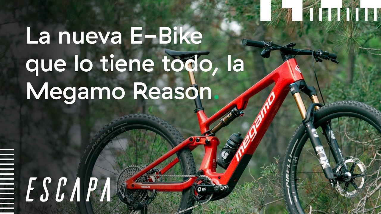 Todo lo que tienes que saber sobre la nueva Megamo REASON 😉