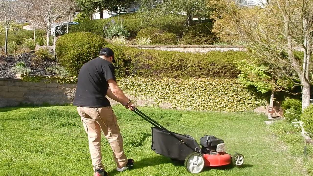 Mowing Down Tall Grass Weeds 3/25/2025