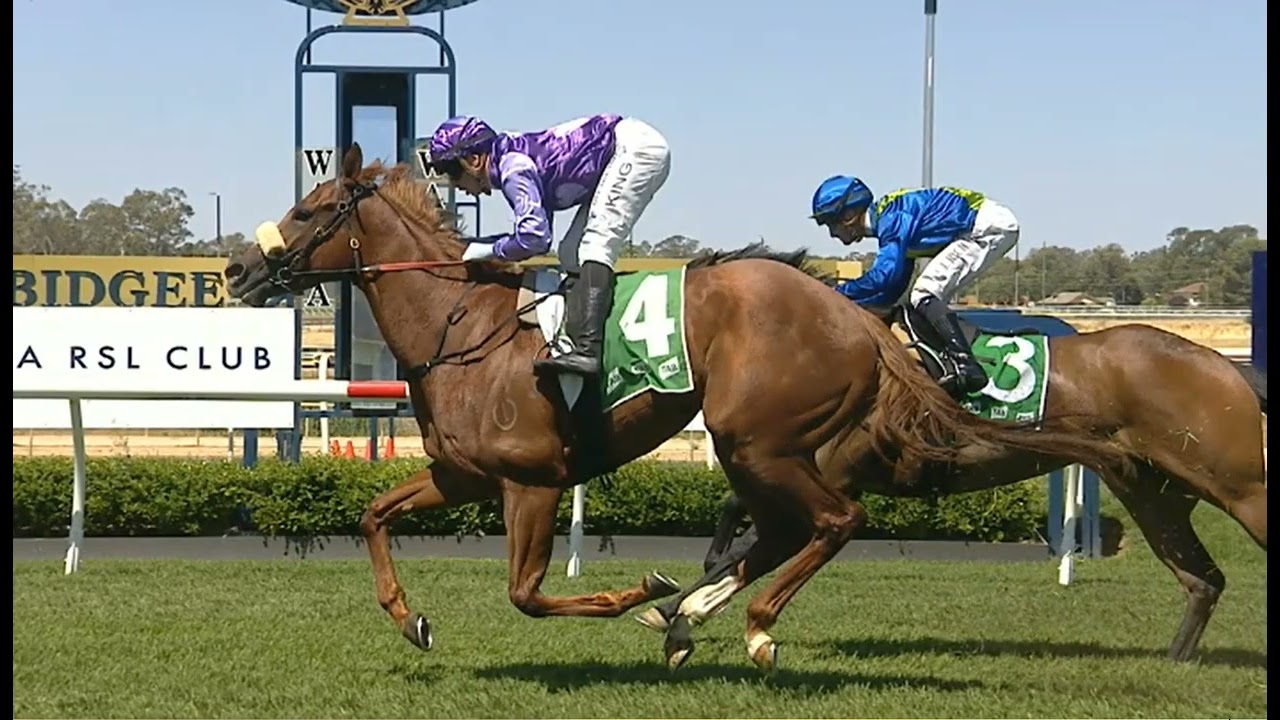 RACE2-BALINA-AUSTRALIA-09 ДЕК 2025