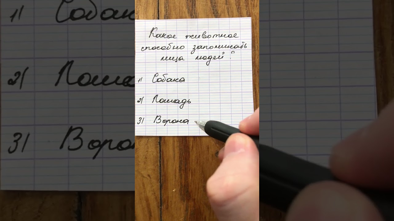 Кто сможет ответить? #викторина #логика