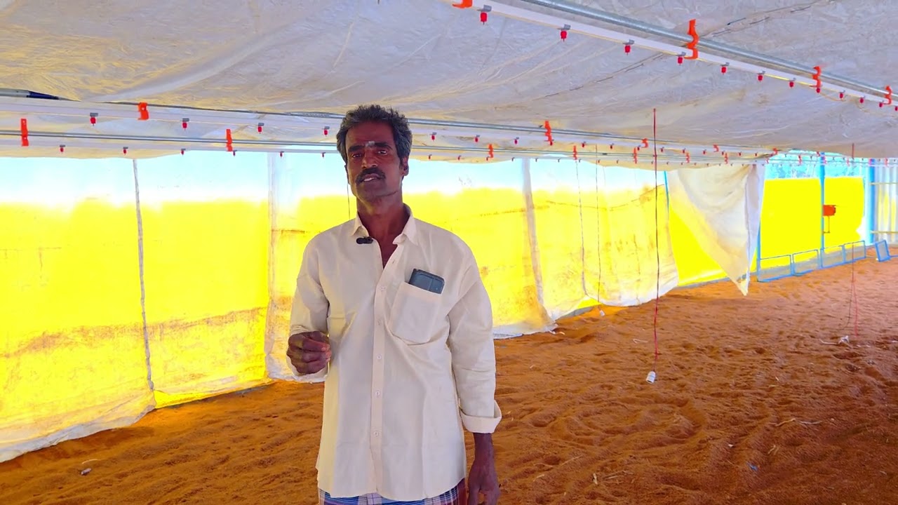 கோழி பண்ணை பகுதி - 5 | Kozhi Pannai - 5
