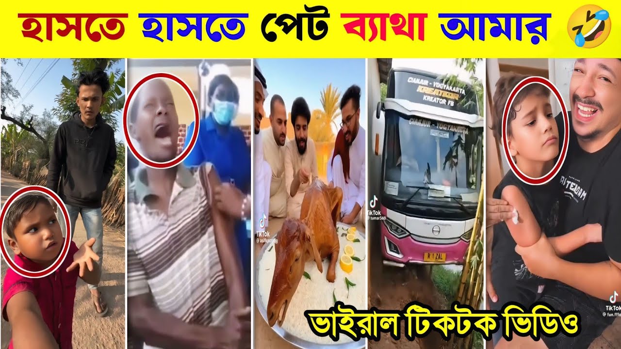 পারলে না হেসে দেখান? 🤣 সেরা ফানি ভিডিও  🤣👄 Bangla New Funny Comedy Tiktok React Video🤣 Tamim Bhai