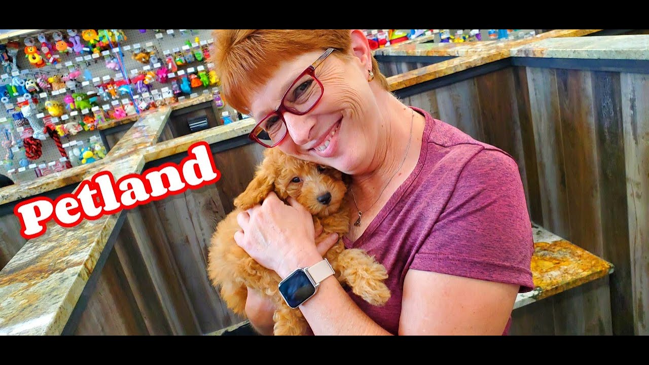 Petland Largo 🐶 Browsing the Store
