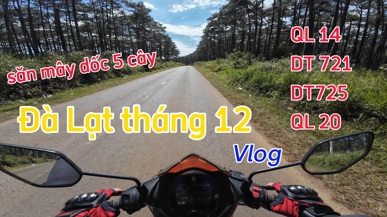 Đà Lạt tháng 12| tháng cuối của năm 2025, săn mây, đèo con ó, B40, đèo Tân Thanh, đèo Prenn #dalat