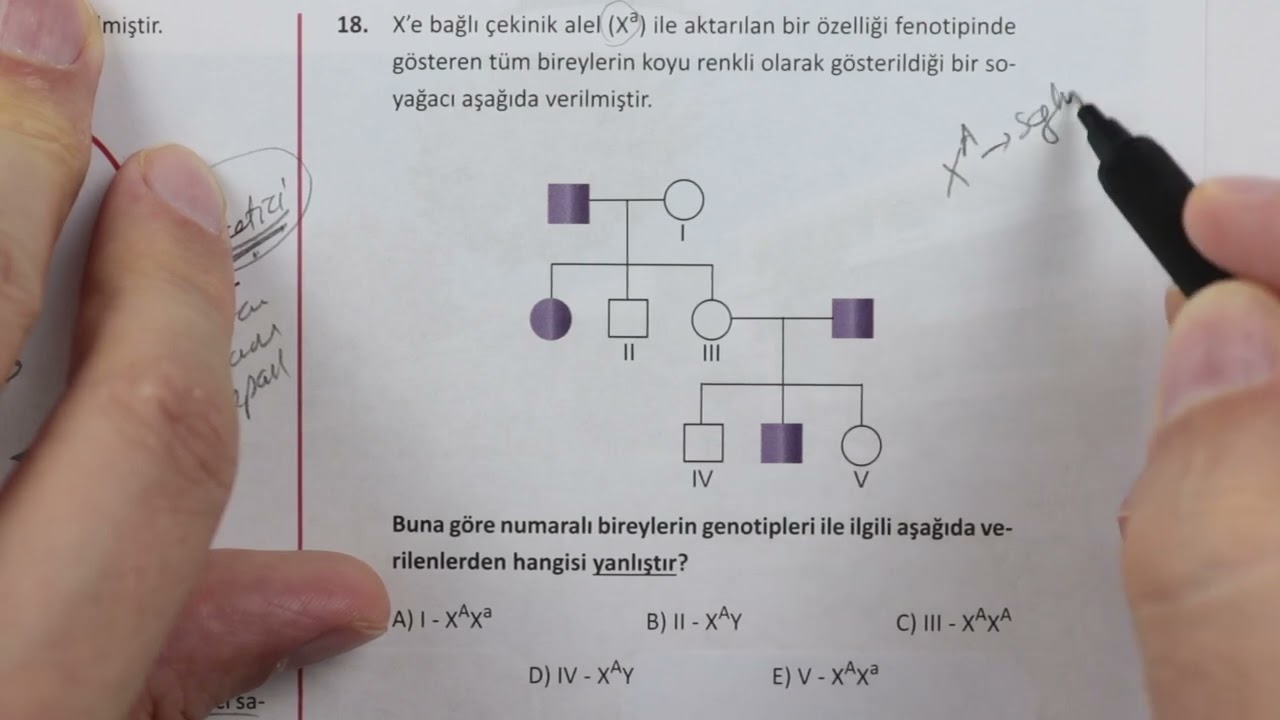ÖZDEBİR Türkiye Geneli TYT Deneme-5 Biyoloji Çözümleri(Y225)