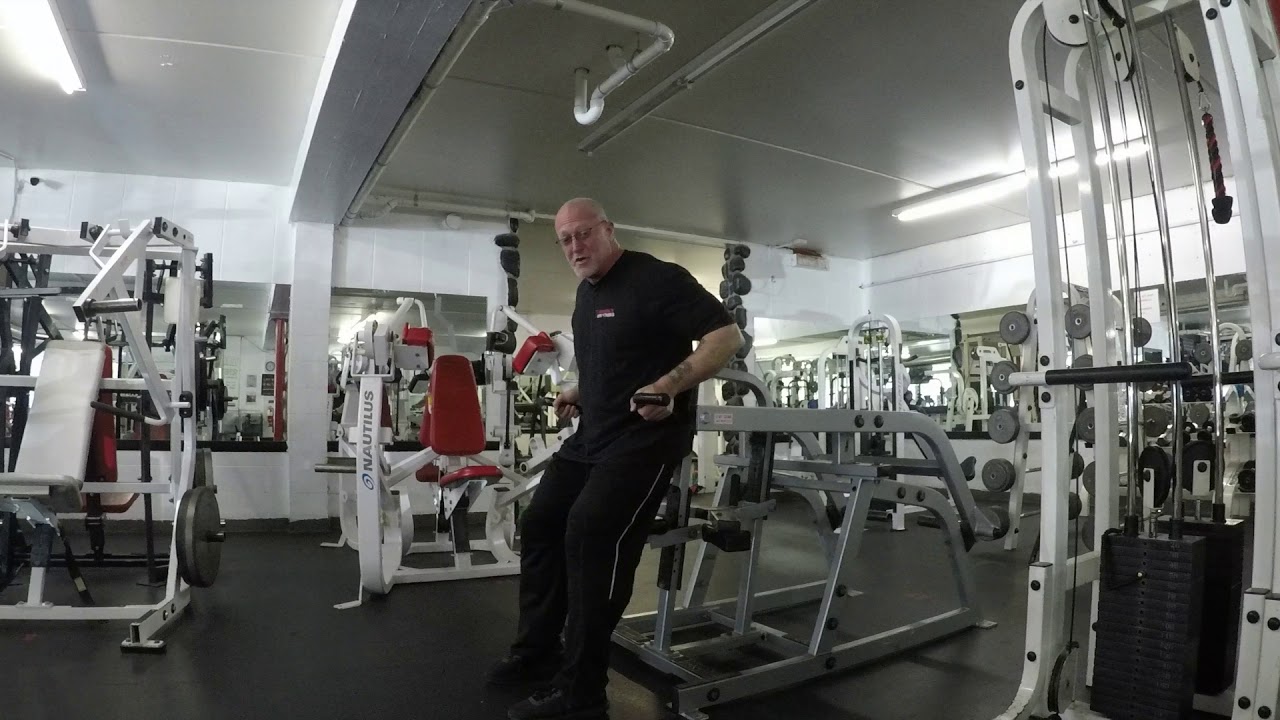 42  Hammer Strength dip