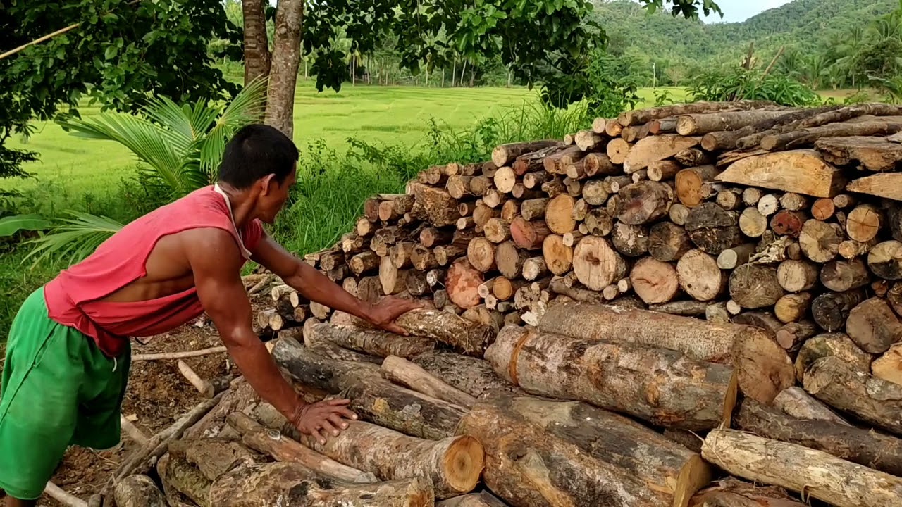 PAANO GUMAWA NG ULING | D' Green Thumb