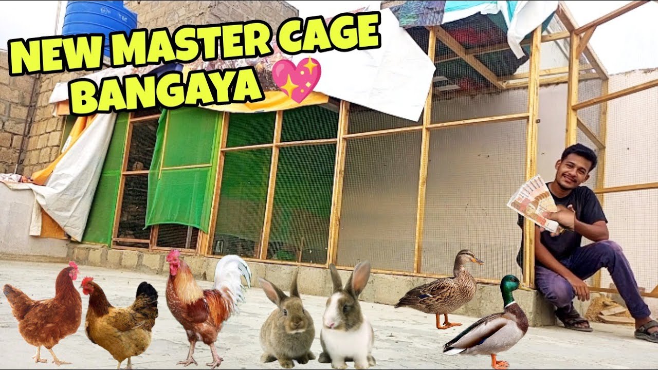 New master cage ban gaya !!! 😍 | Kitna kharcha aya ???