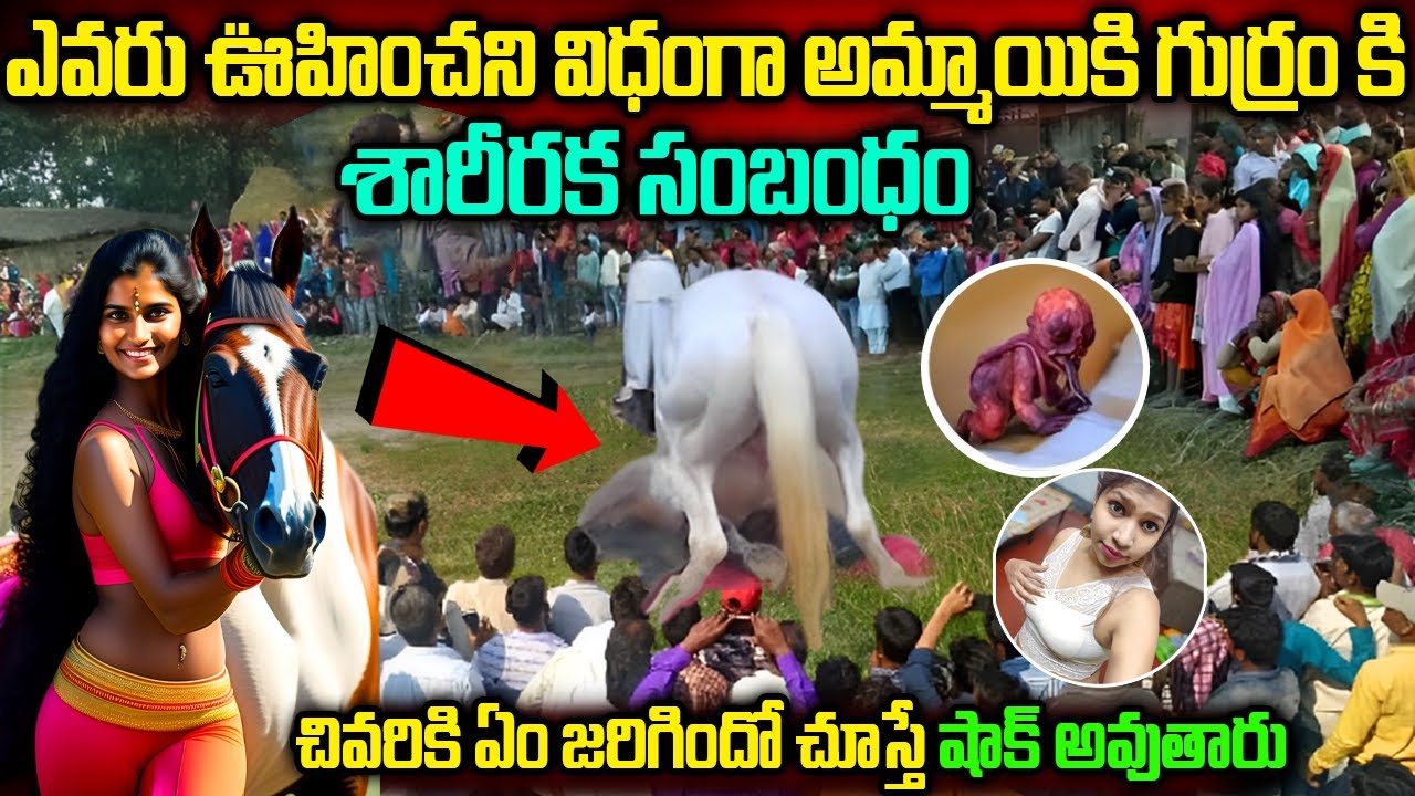Girl And Horse Real Story | అందరూ చూస్తుండగా ఈ గుర్రం ఈ అమ్మాయిని ఏం చేసిందో చూడండి | #unknownfacts