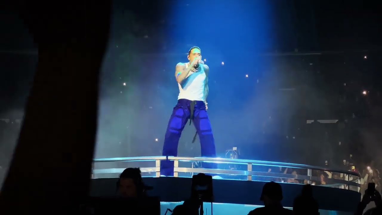 [4K] Chris Brown 