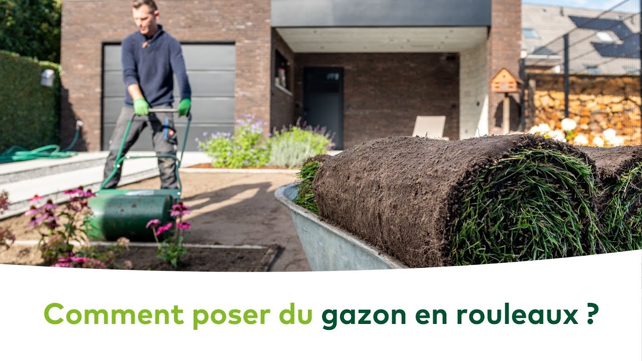PELOUSE - Comment poser du gazon en rouleaux ?