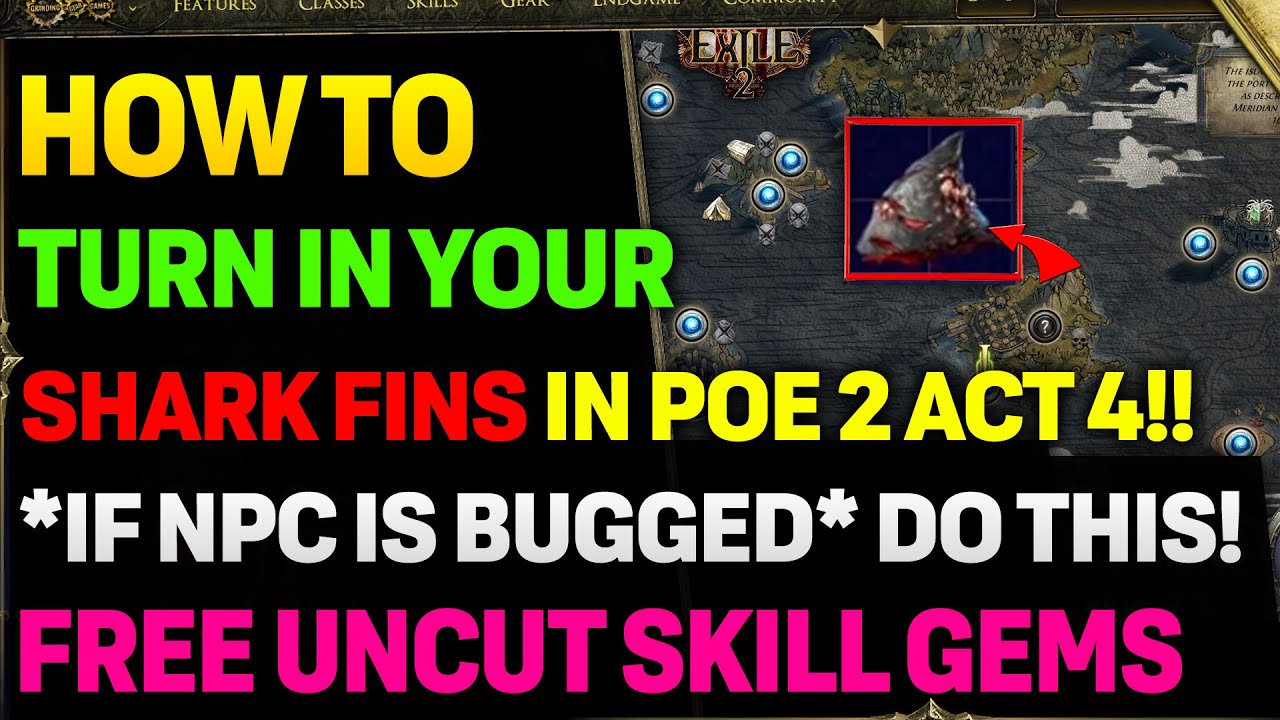 HOW TO Turn In Your SHARK FINS For Quest Rewards | POE 2 NEW Act 4 Guides