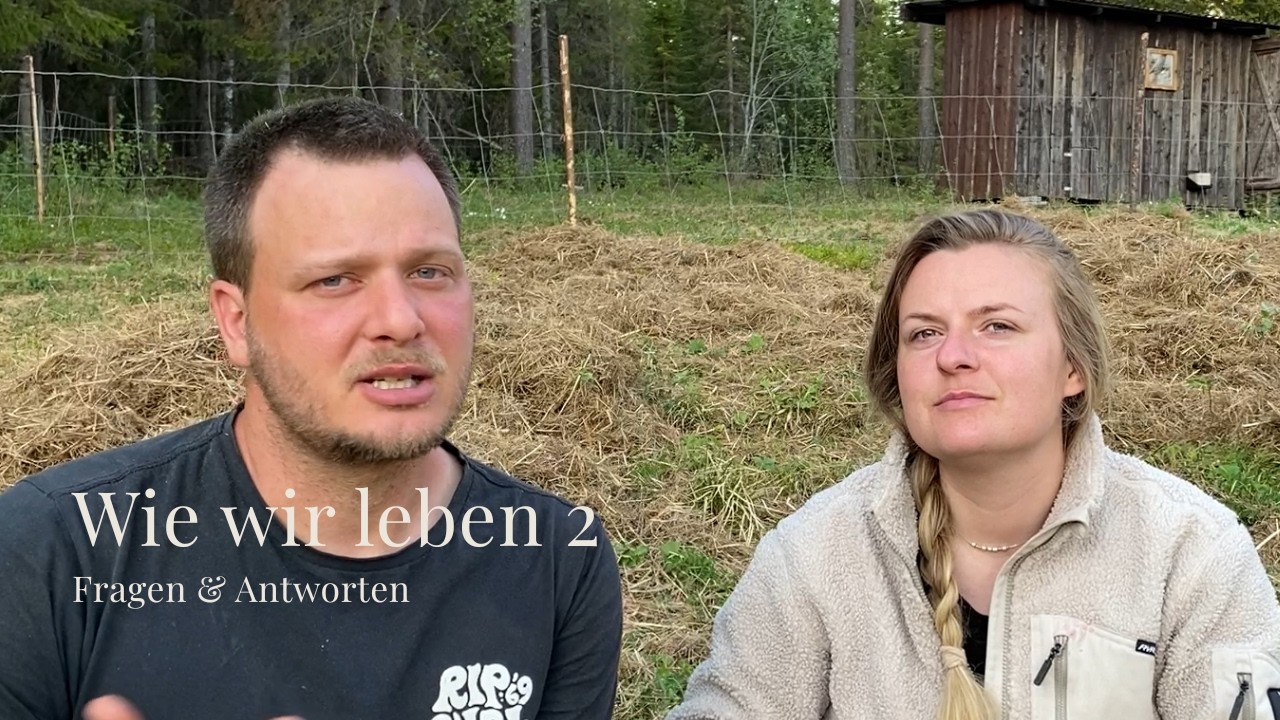 Folge 27 | Arbeit? Einsamkeit? Kindergarten? Alles was Ihr wissen wollt | Q&A Schweden