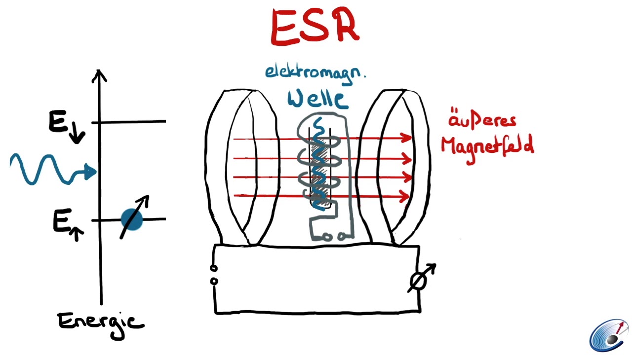 Elektronenspinresonanz