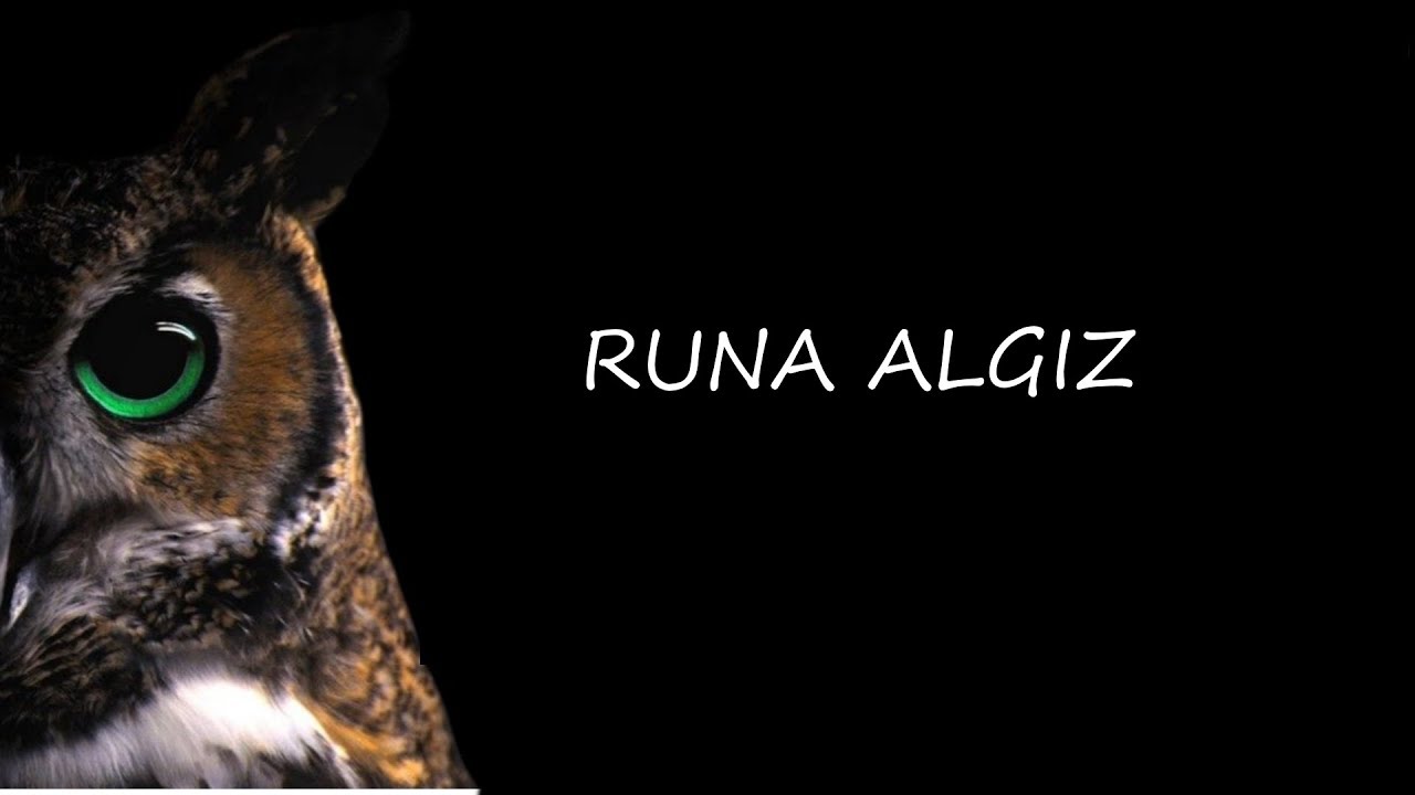 SOWY SPOJRZENIE NA RUNE ALGIZ