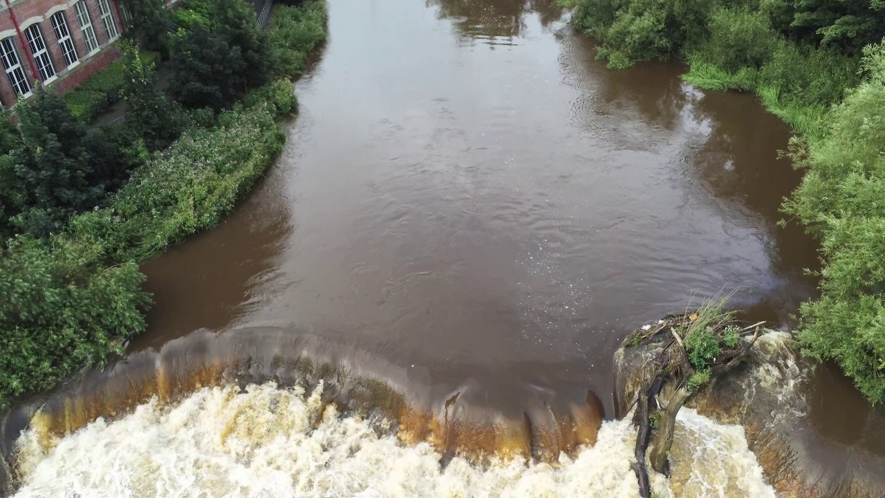 The Hamills Paisley in Full Flow