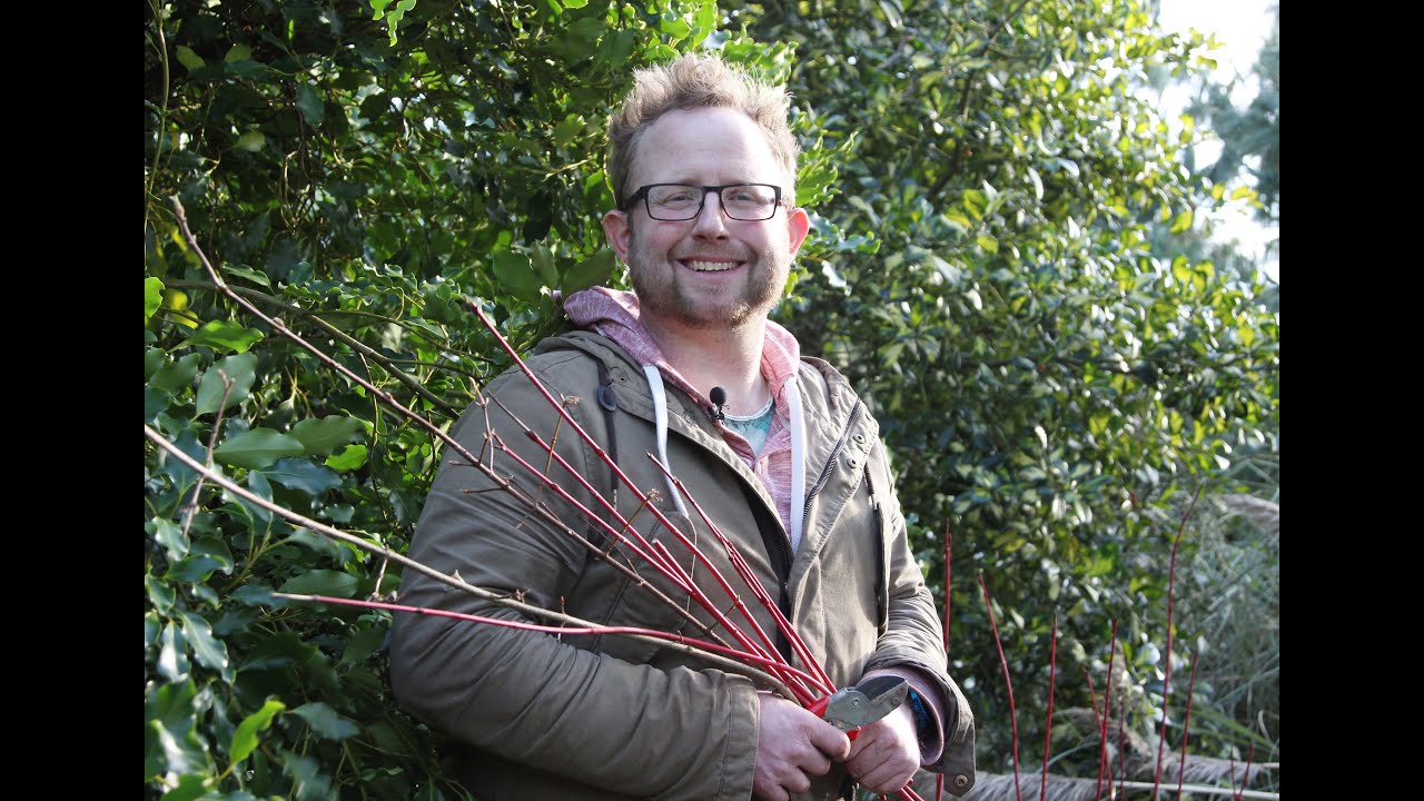 Get Gardening: It's Easy to take Hardwood Cuttings!