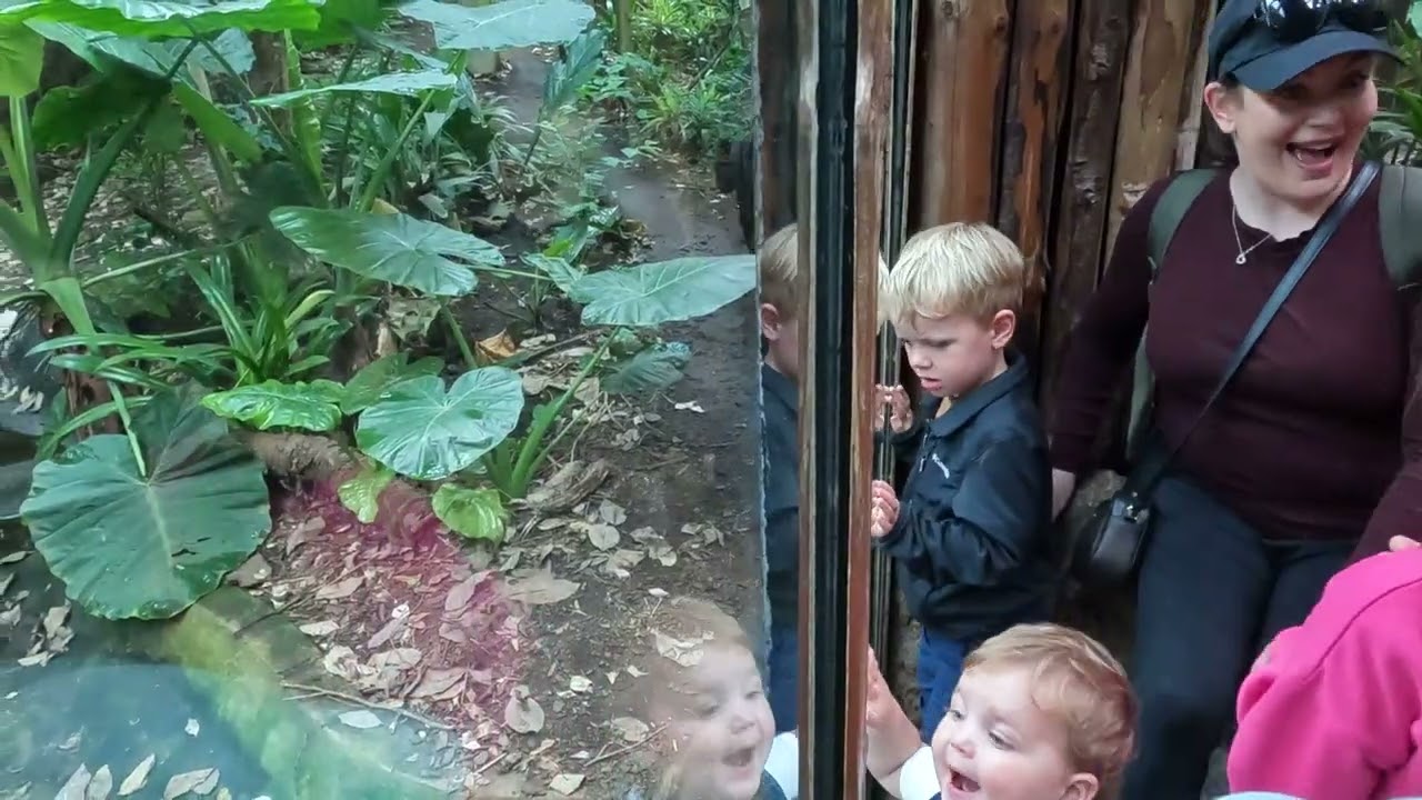 Chester Zoo