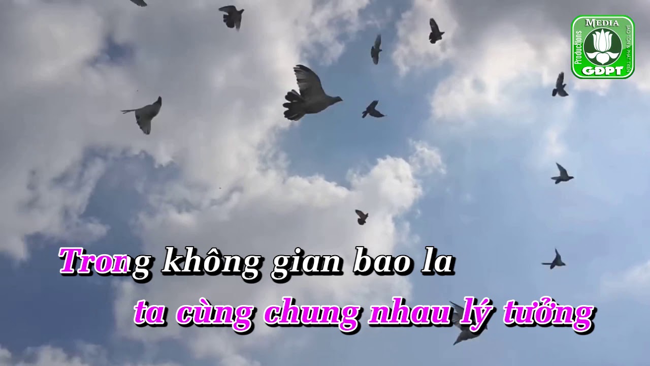 Tình Lam