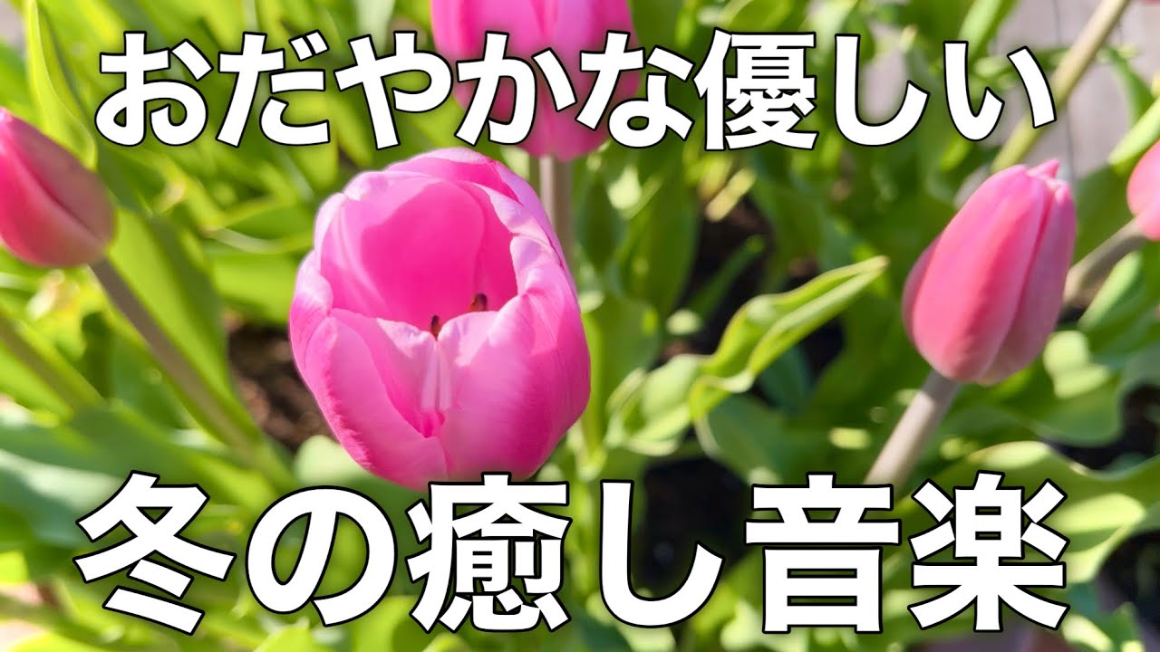【癒しBGM】心が落ち着く優しいリラックス音楽、自律神経を整え不安やストレス解消のためのヒーリングミュージック/睡眠用・作業用・勉強用BGM