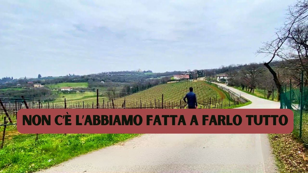 Sentiero delle Fontane a Lonigo: Escursione tra Natura, Storia e Panorami Mozzafiato - Veneto