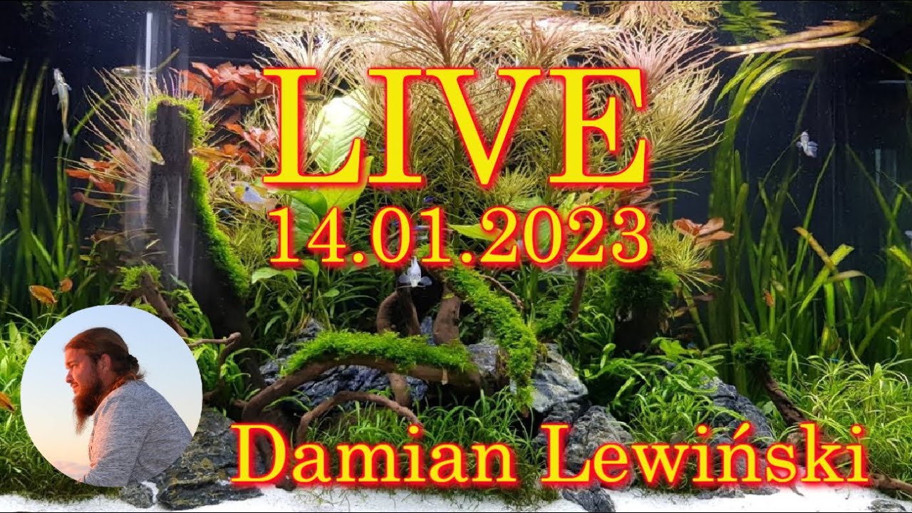 LIVE akwarystyczny 14.01.23. Pytania i odpowiedzi. Damian Lewiński