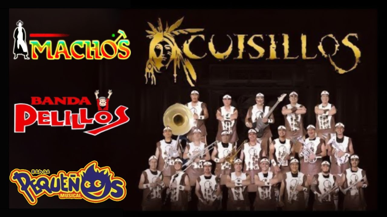 Machos, Cuisillos, Pequeños Musical, Maguey 💃 Bandas Viejitas Pero Bonitas Mix