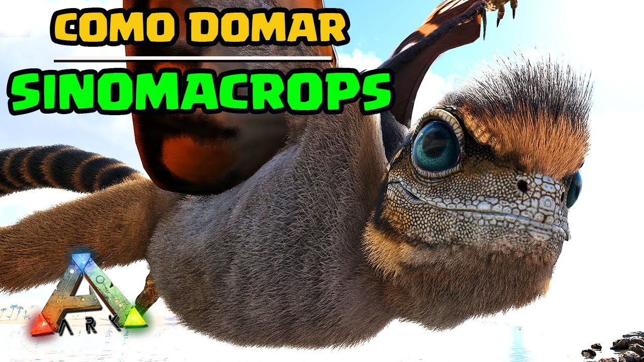 COMO DOMAR O SINOMACROPS em ARK: SURVIVAL EVOLVED - TUTORIAL